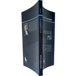 Arta Războiului PSI - imagine 4