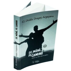 De mana pe Camino - imagine 5