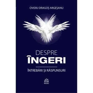 Ebook Despre ingeri. Intrebari si raspunsuri - (E-Pub)
