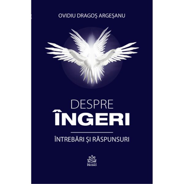 Despre ingeri. Intrebari si raspunsuri front