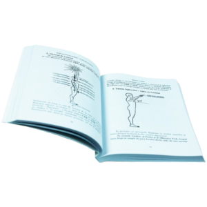 Reiki pentru incepatori - caiet de seminar - imagine 4